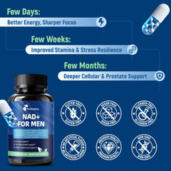 Femmetra CoQ10 and resveratrol capsule for cellular health.