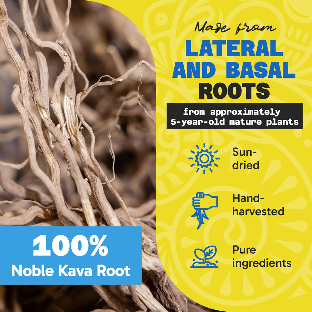 Fiji Vanua Kava noble root powder shows creamy texture and earthy character.