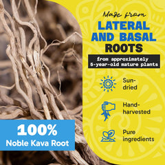 Fiji Vanua Kava noble root powder shows creamy texture and earthy character.