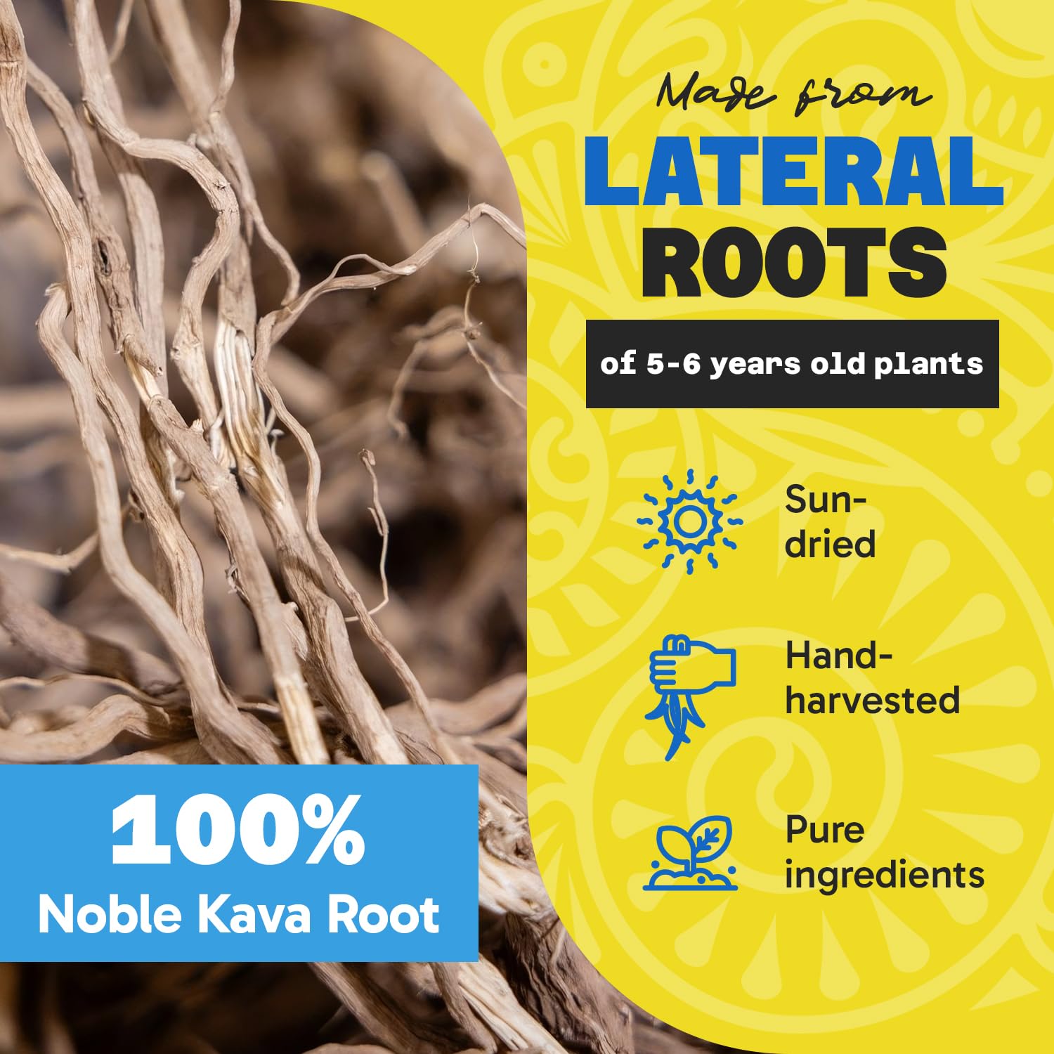 Measuring scoop with Fiji Vanua Kava Vanuatu powder for easy preparation