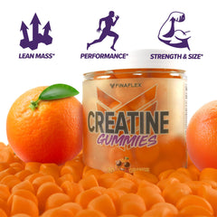 Graphic showing FINAFLEX Creatine Gummies 30 servings per bottle