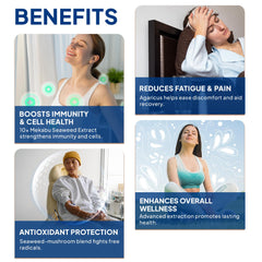 FINE JAPAN Fucoidan Plus Drink features agaricus mushroom extract for plant-forward wellness.