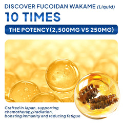 FINE JAPAN Fucoidan Plus Drink comes as a 10-pack of 50ml bottles for convenient daily use.
