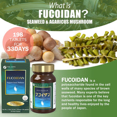 Fine Japan Fucoidan Wakame serving image suggesting easy daily use