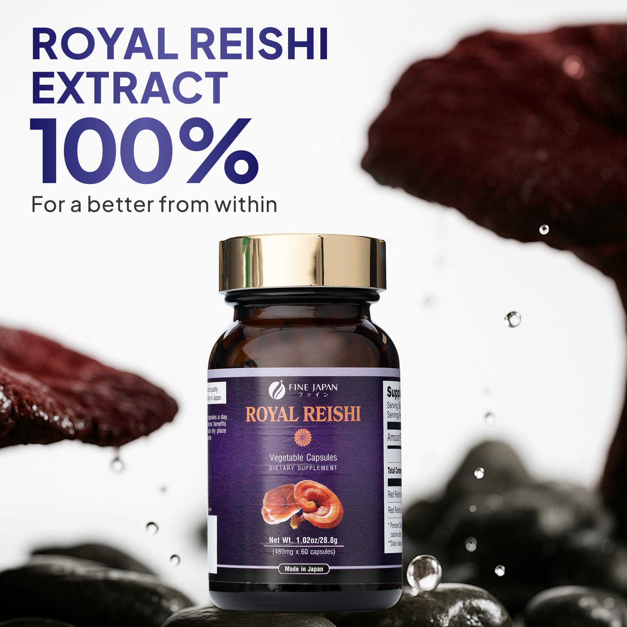 Fine Japan Reishi capsules on counter beside tea and hydration.