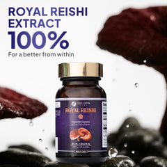 Fine Japan Reishi capsules on counter beside tea and hydration.