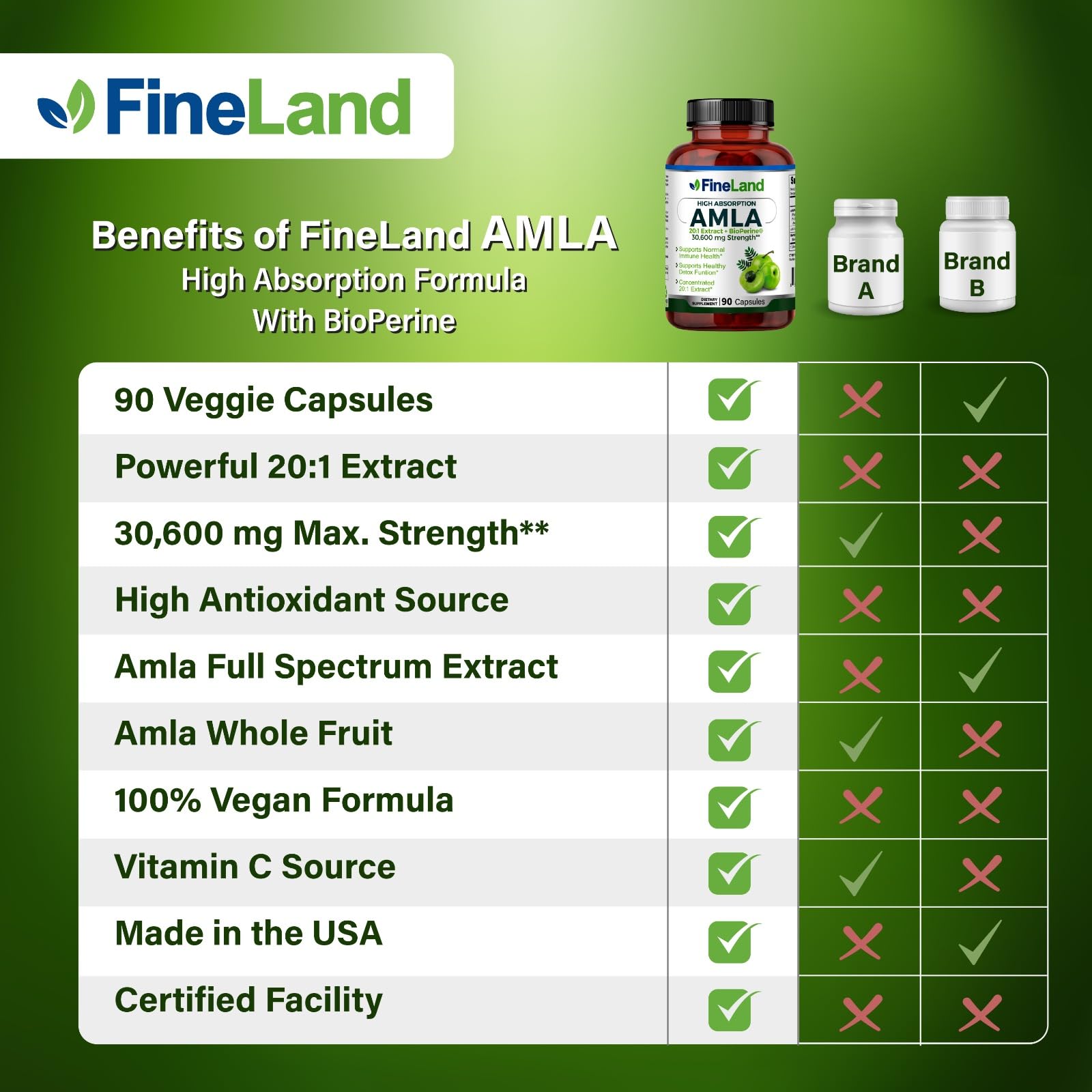 FineLand Amla delivers natural vitamin C as part of daily routine