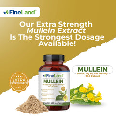FineLand Mullein Leaf 20x Extract USA manufactured for quality