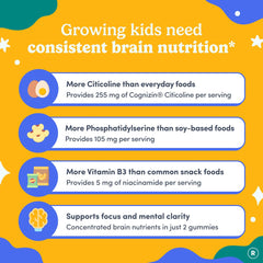FIRST DAY Cognizin Citicoline ingredient highlight and its potential cognitive support.