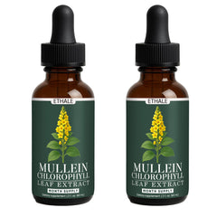FITactic ETHALE Mullein Drops bottle front view supports daily lung care