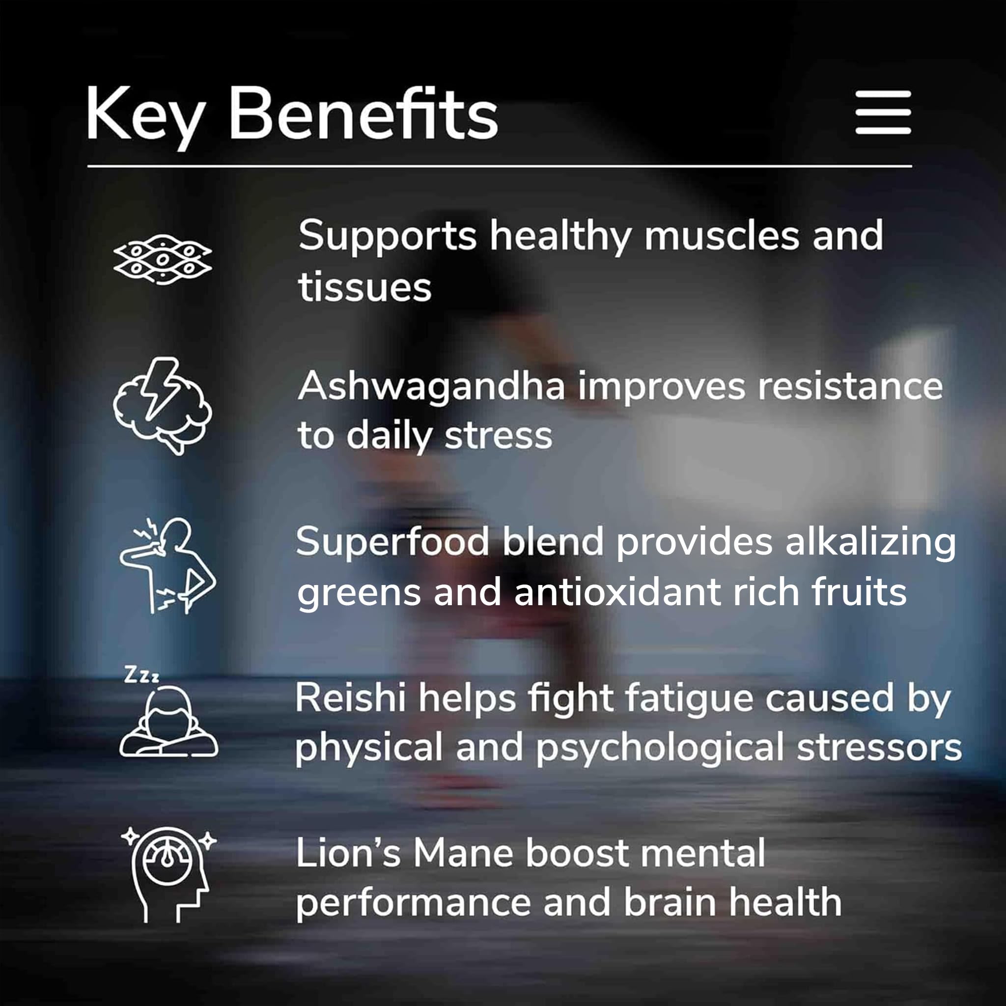 fitppl Reishi and Lions Mane mushrooms promote daily balance.
