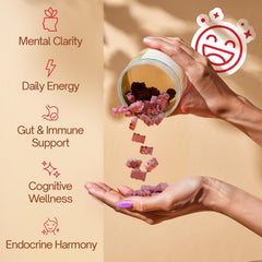 Elderberry-infused FitVitality gummies offer fruity taste with potential immune support.