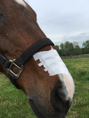 Flair Equine Nasal Strips during training or competition to support airflow.