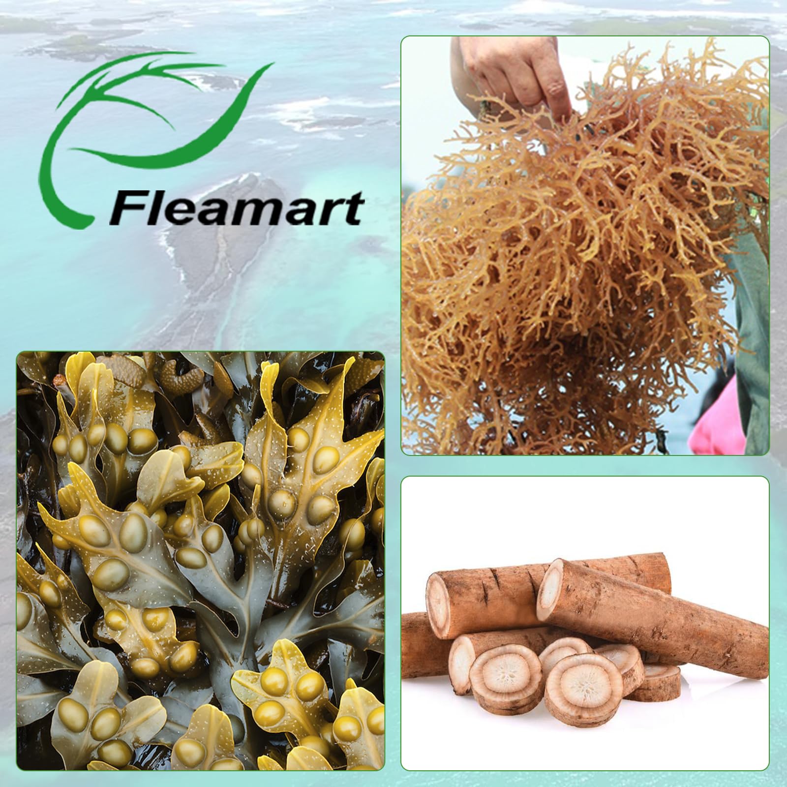 Fleamart 2-pack packaging emphasizes value and ongoing supply