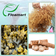 Fleamart 2-pack packaging emphasizes value and ongoing supply