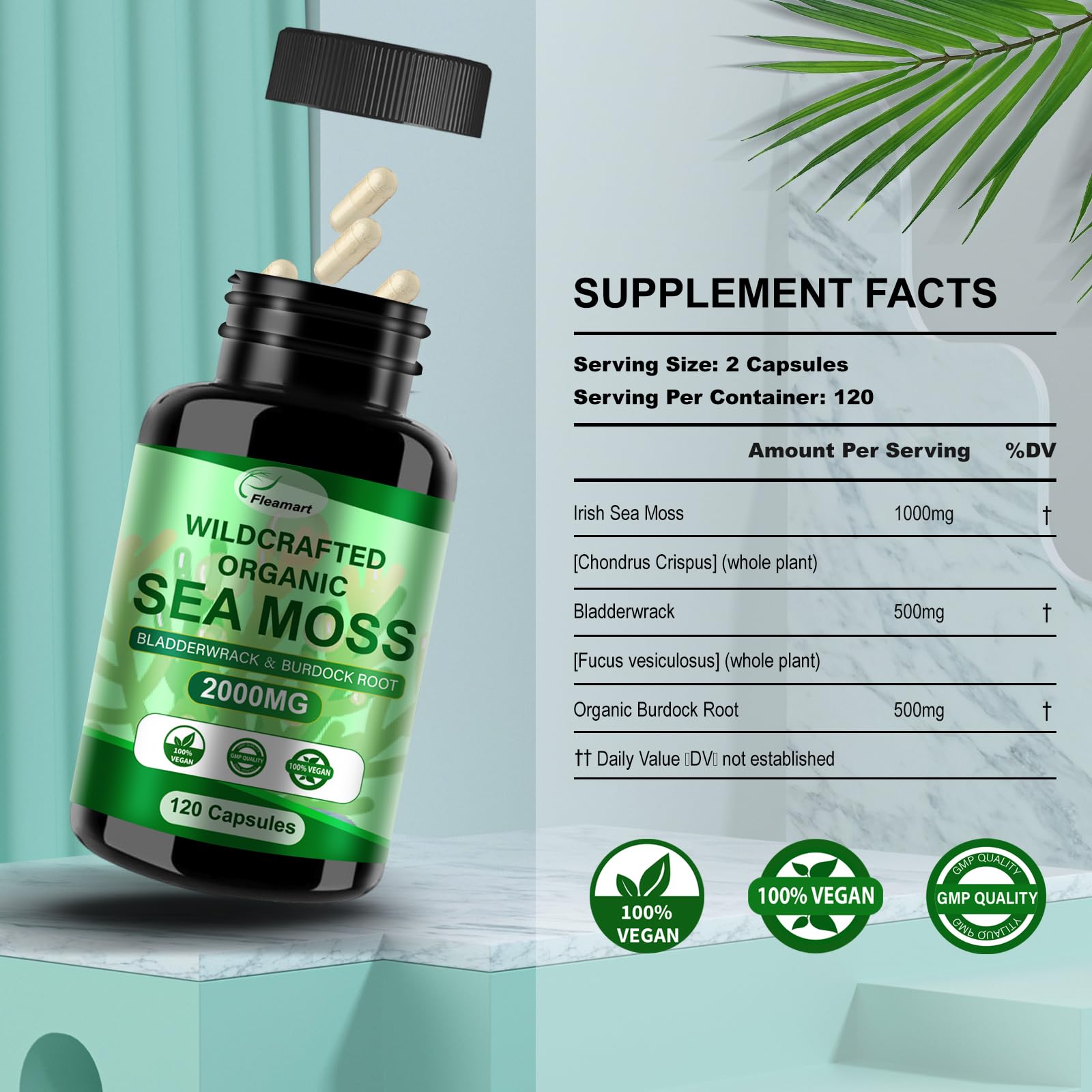 Fleamart sea moss powder in smoothie demonstrates easy daily integration