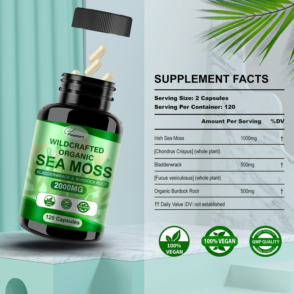 Fleamart sea moss powder in smoothie demonstrates easy daily integration