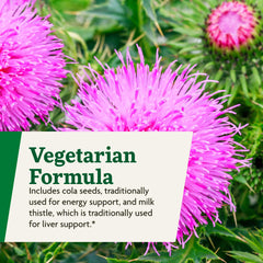 Floradix Epresat fruit juice concentrates provide gentle absorption
