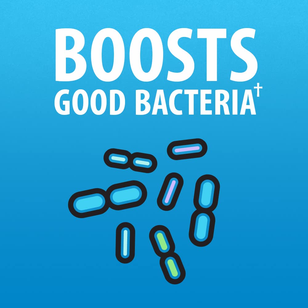 Durable probiotic design remains active with antibiotics across common prescriptions.