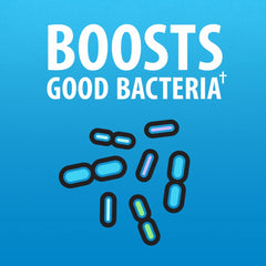 Durable probiotic design remains active with antibiotics across common prescriptions.