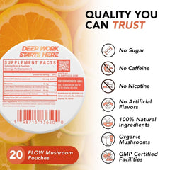 Flow Pouches mushroom nootropic citrus use-scene shows hands-free energy for work