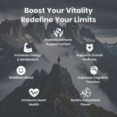 Flynew Shilajit quality image reflecting FDA-registered manufacturing