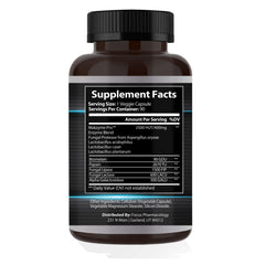 Lipase and amylase support fat and carbohydrate breakdown.