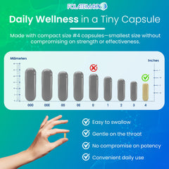 FolateMaxx methylation and cognition focus information card.