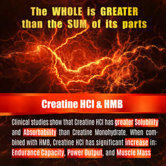 Folona Creatine HMB label closeup shows vegan purity