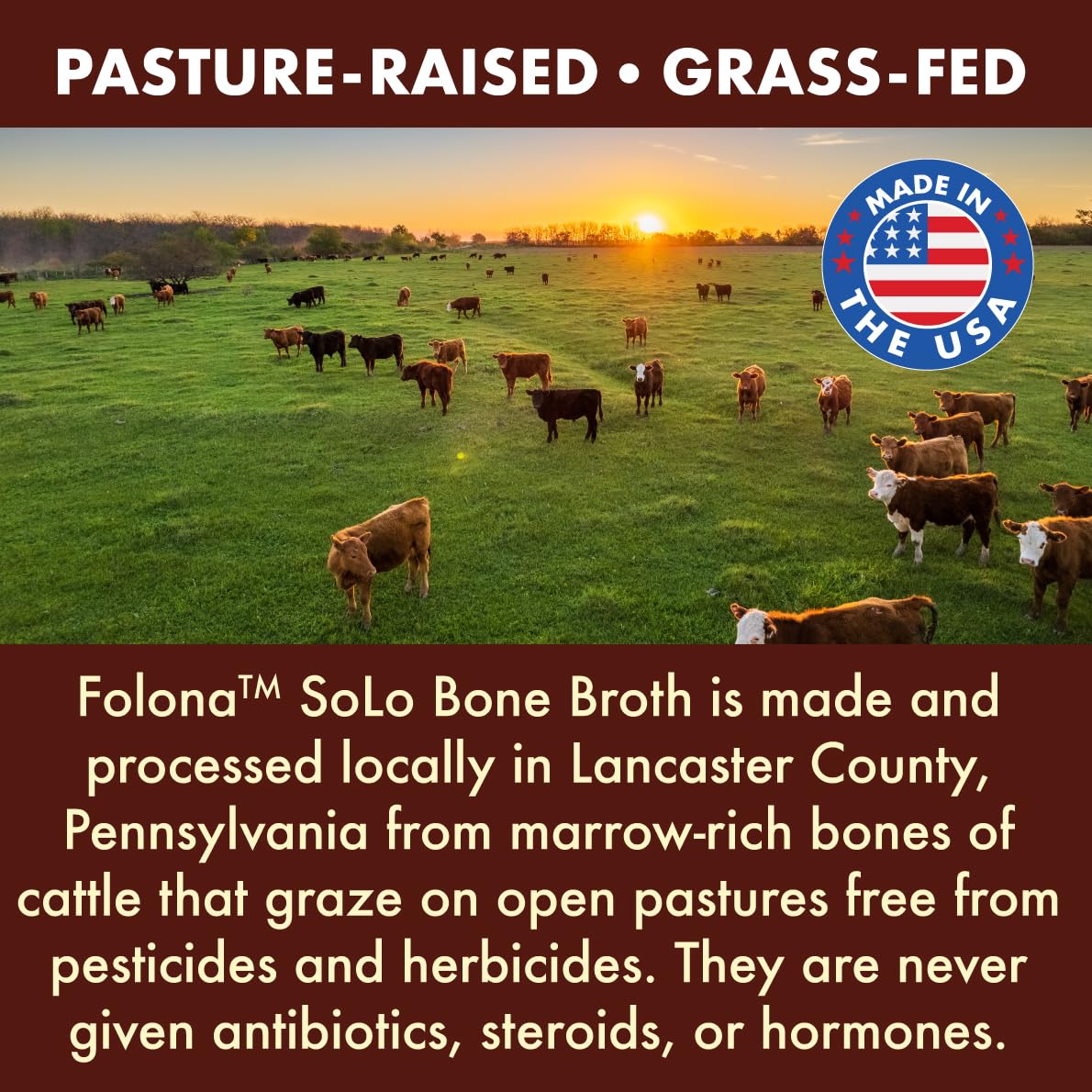 Folona Solo Bone Broth Powder dissolving instantly in cold water.