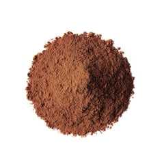 Food to Live Chaga Powder texture closeup reveals fine earthy powder ready to mix.