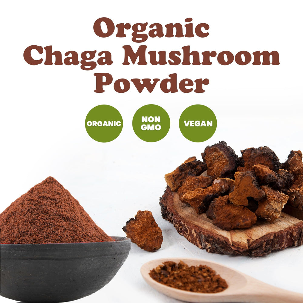 Food to Live Chaga tea brewed from the powder, a cozy, antioxidant-friendly ritual.