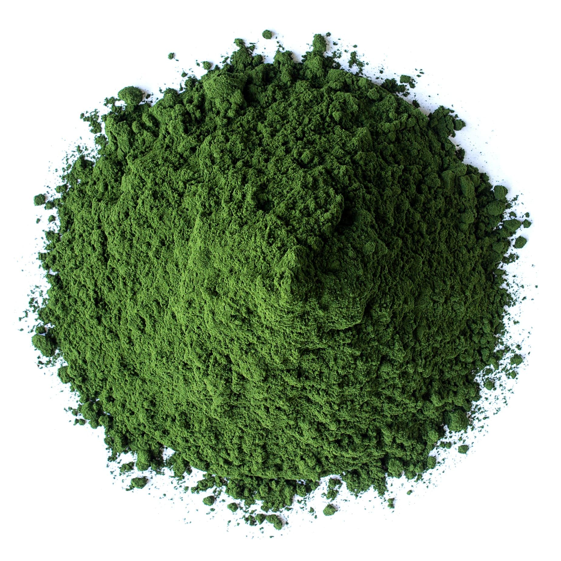 Food to Live chlorella powder in a blender for nutrient rich shakes