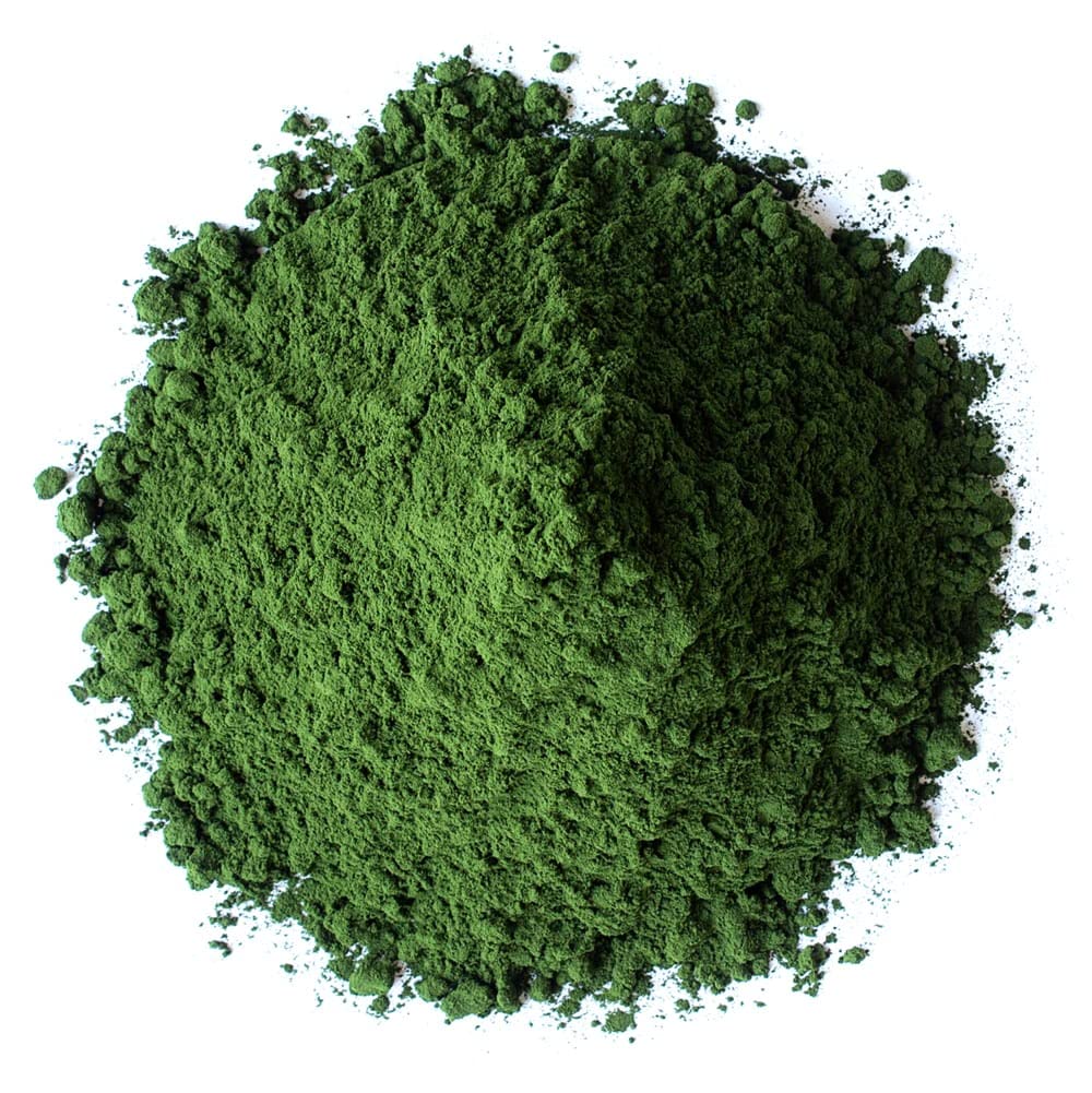 Food to Live chlorella powder on a spoon, powdery texture.