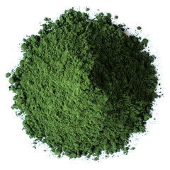 Food to Live chlorella powder on a spoon, powdery texture.