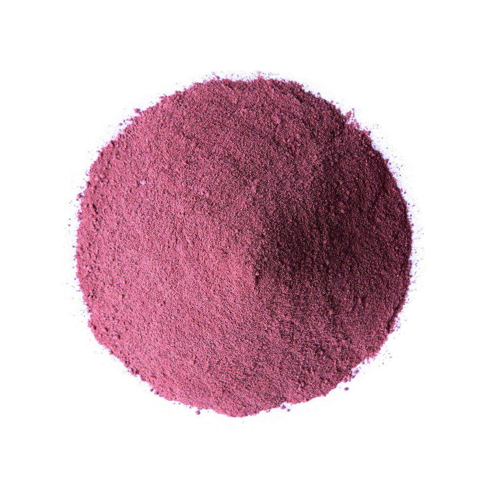 Scoop dispensing Food to Live elderberry powder for bulk use