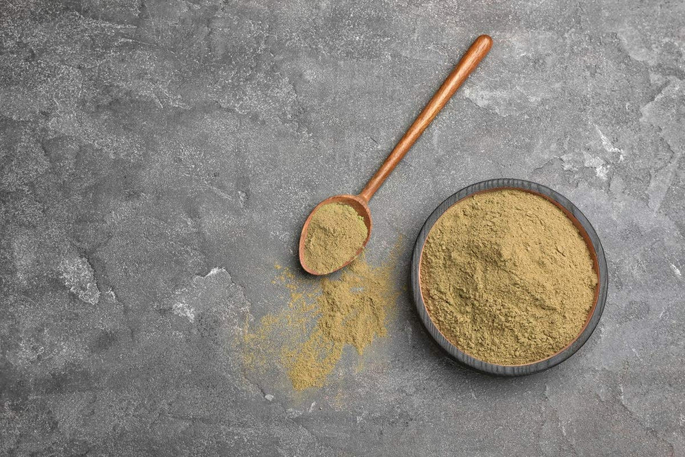 Food to Live hemp protein powder on kitchen counter ready for daily shakes.