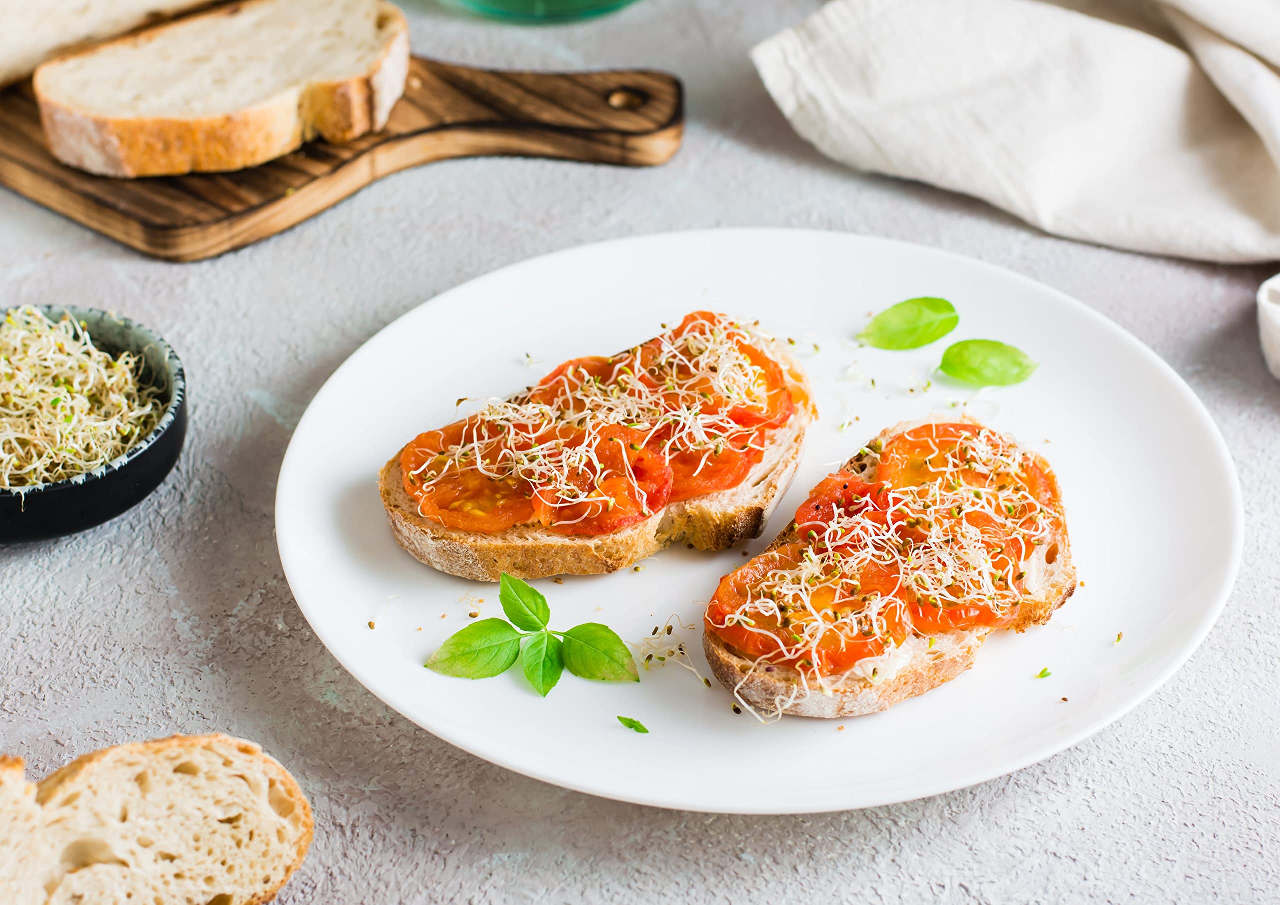 Food to Live organic alfalfa seeds for sprouting, easy prep for beginners.