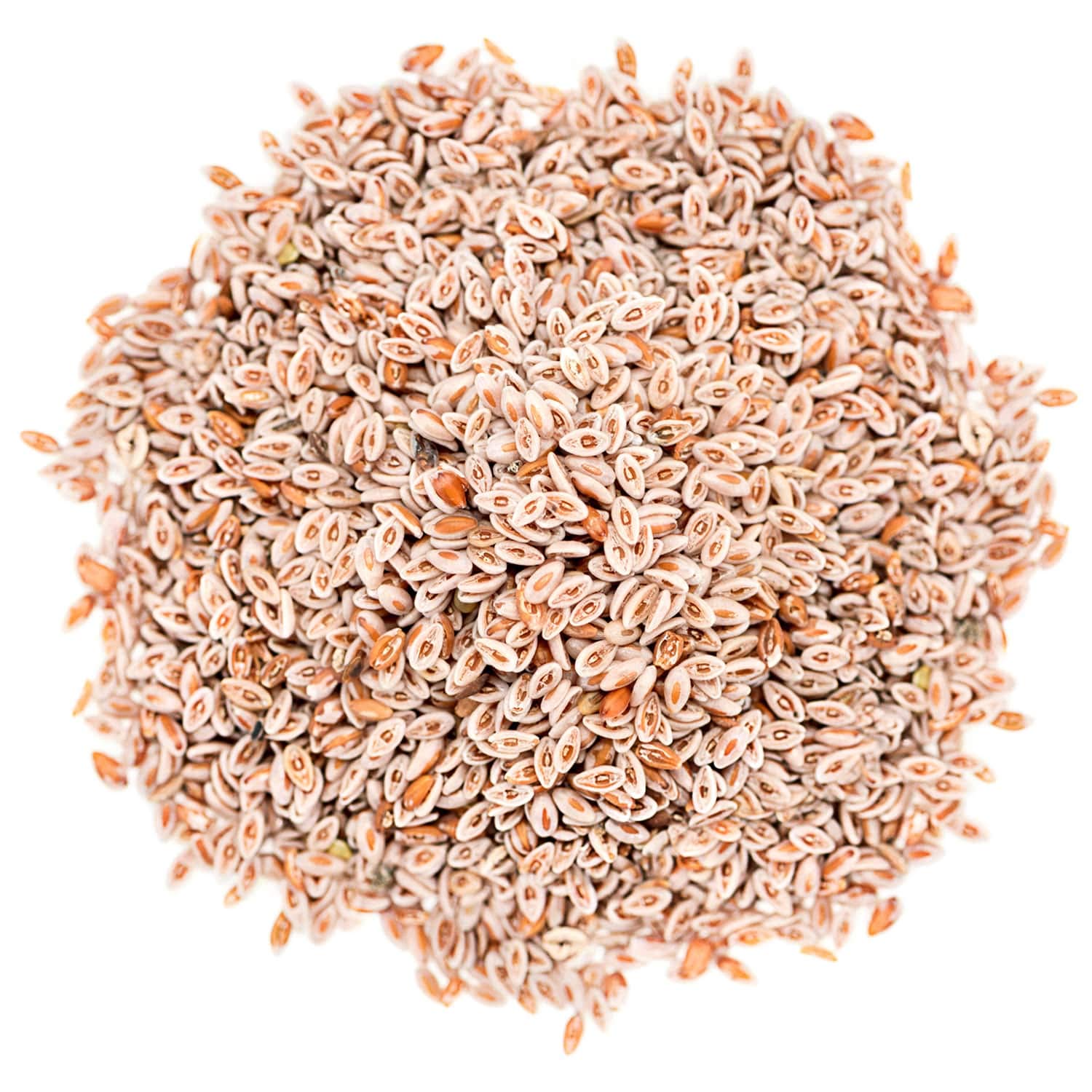 Food to Live Psyllium Seeds bag open, seeds visible and ready.