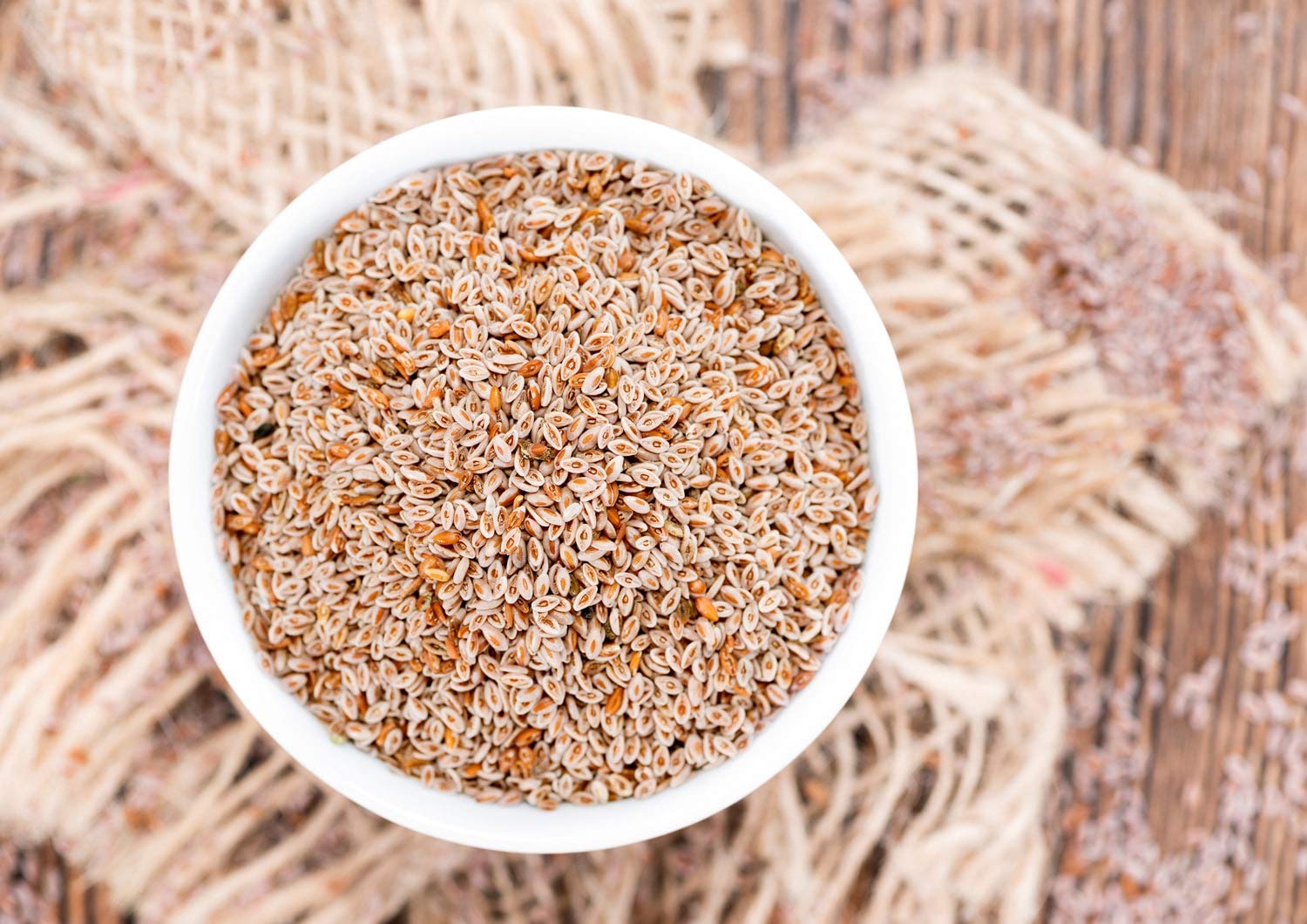 Food to Live Psyllium Seeds close-up, raw texture of tiny seeds.