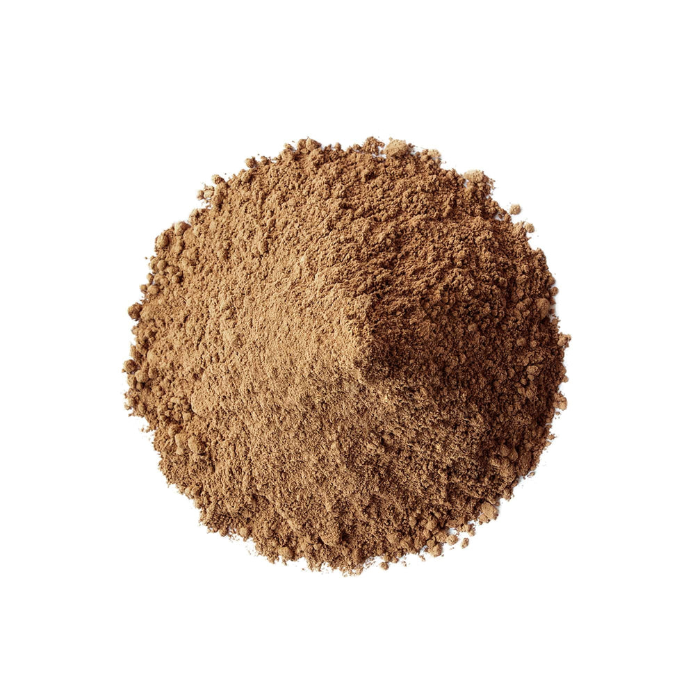 Food to Live Red Reishi Powder close-up reveals fine earthy texture.