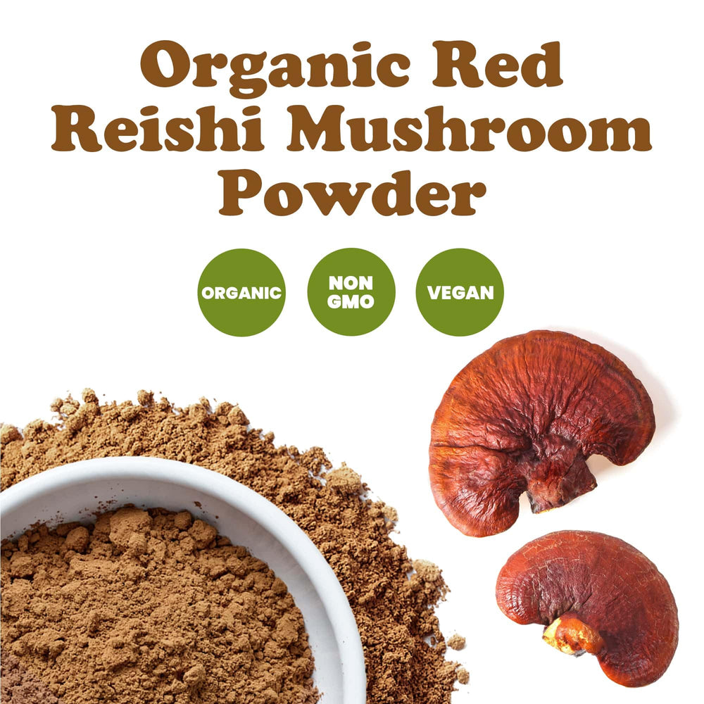 Food to Live Red Reishi Powder in a smoothie for nutrient boost.