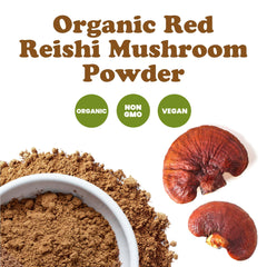 Food to Live Red Reishi Powder in a smoothie for nutrient boost.