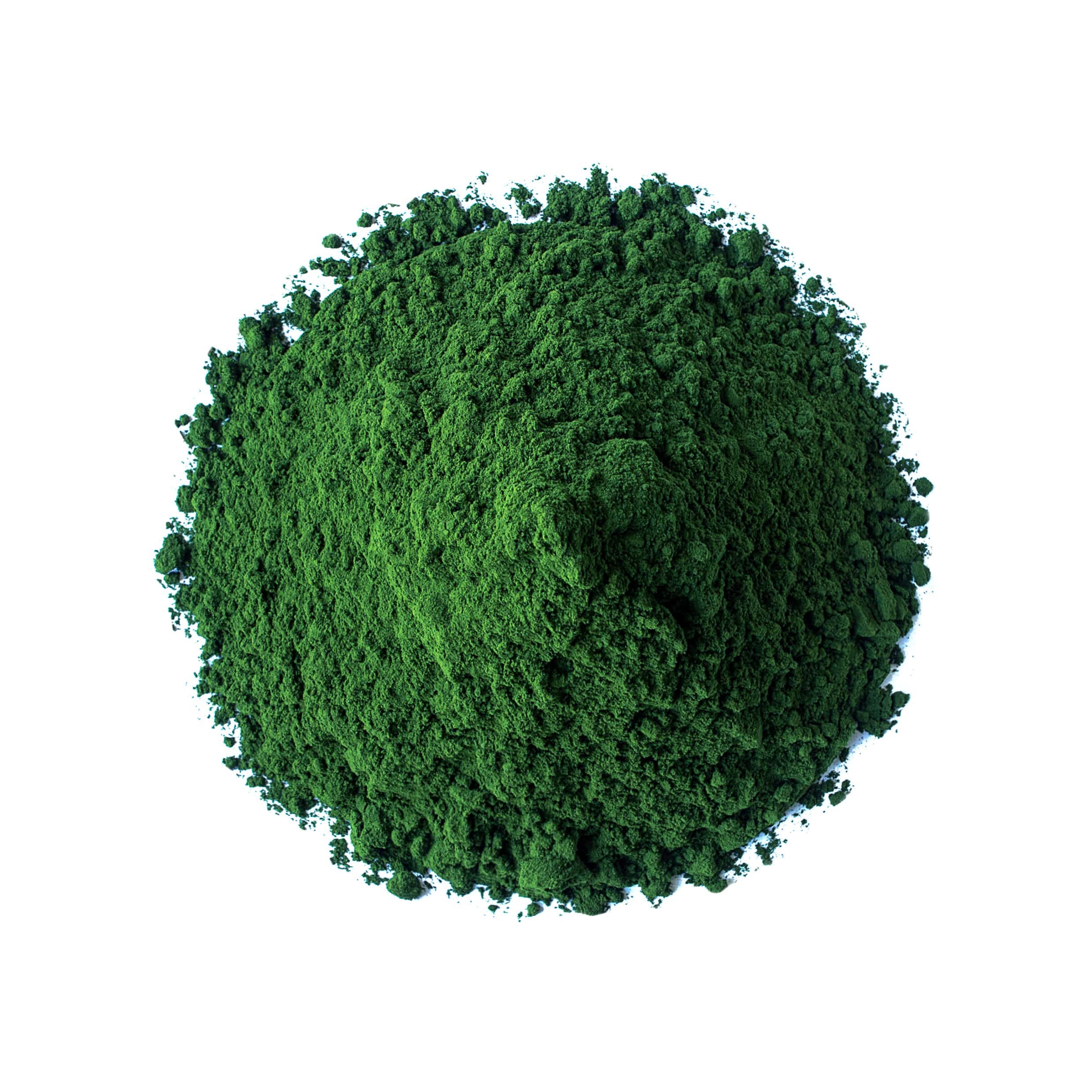 Food to Live spirulina-chlorella close-up shows vibrant emerald color