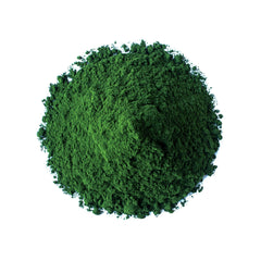 Food to Live spirulina-chlorella close-up shows vibrant emerald color