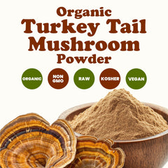 Food to Live Turkey Tail Powder stirred into a smoothie for earthy nutrition.