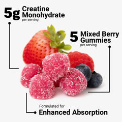 Assorted Force Factor Creatine Gummies flavor display