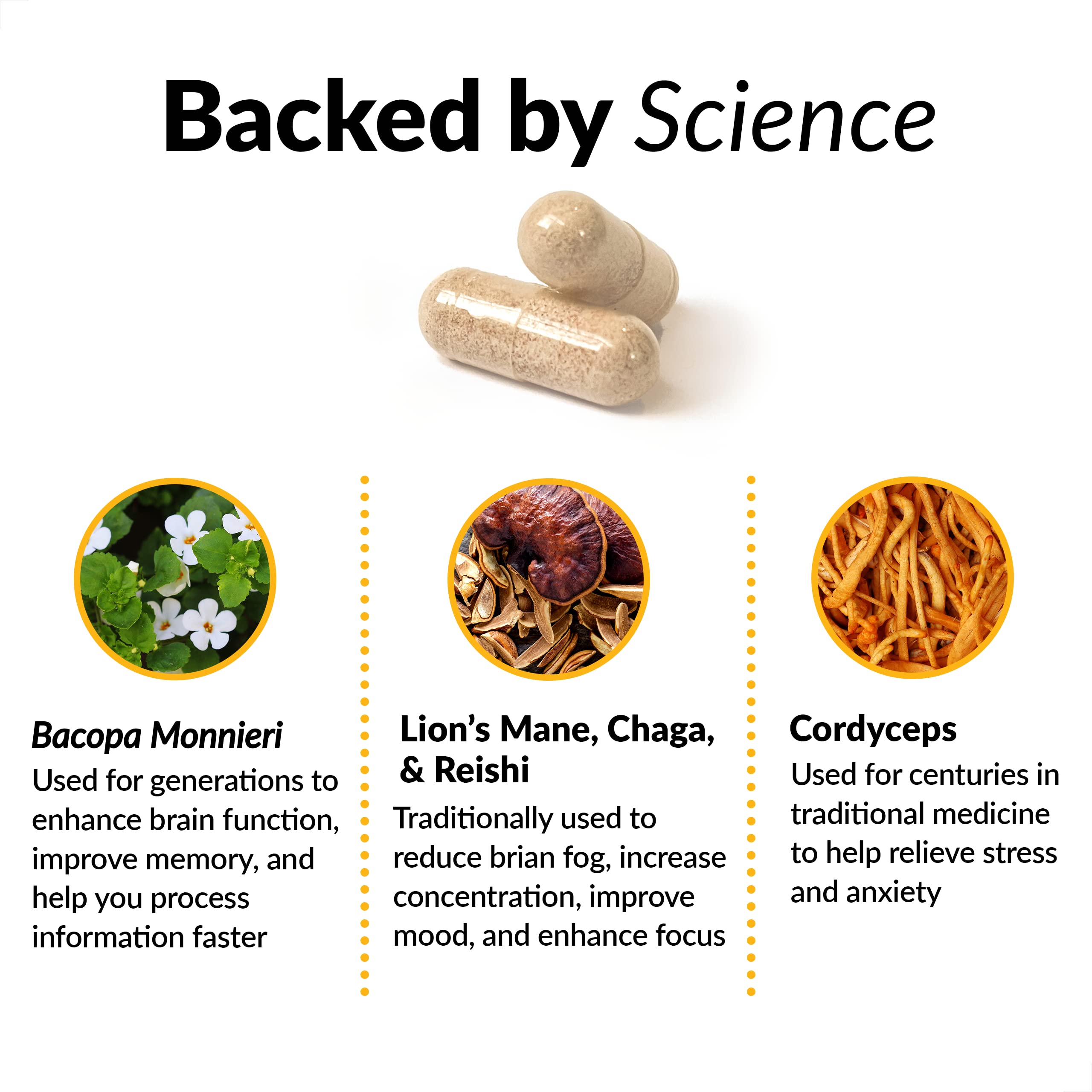 Force Factor Forebrain Focus capsules close-up showing daily-dose capsules.