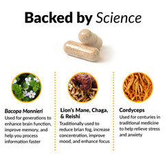 Force Factor Forebrain Focus capsules close-up showing daily-dose capsules.