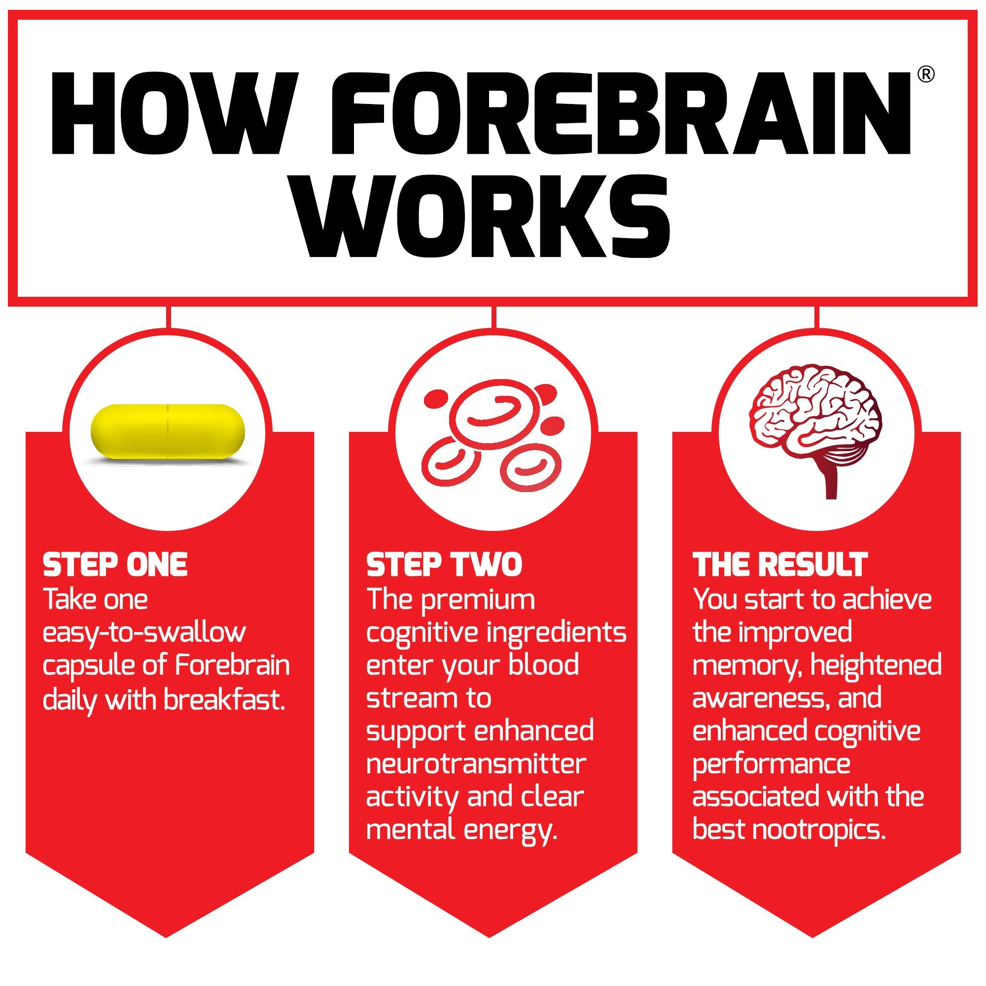 Informational graphic illustrating memory, focus, and processing benefits